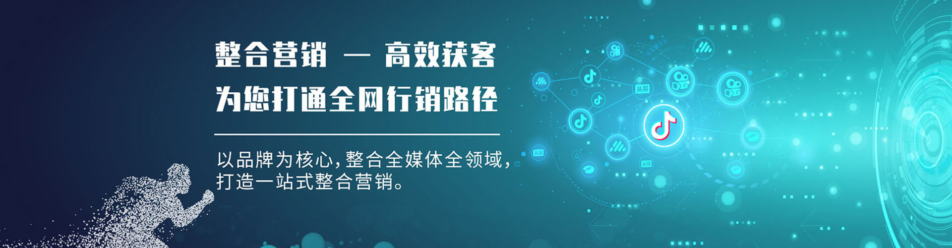 樟树sem代理