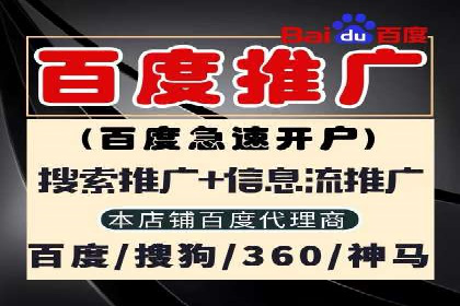 百度竞价排名实战：某电商平台的成功之路